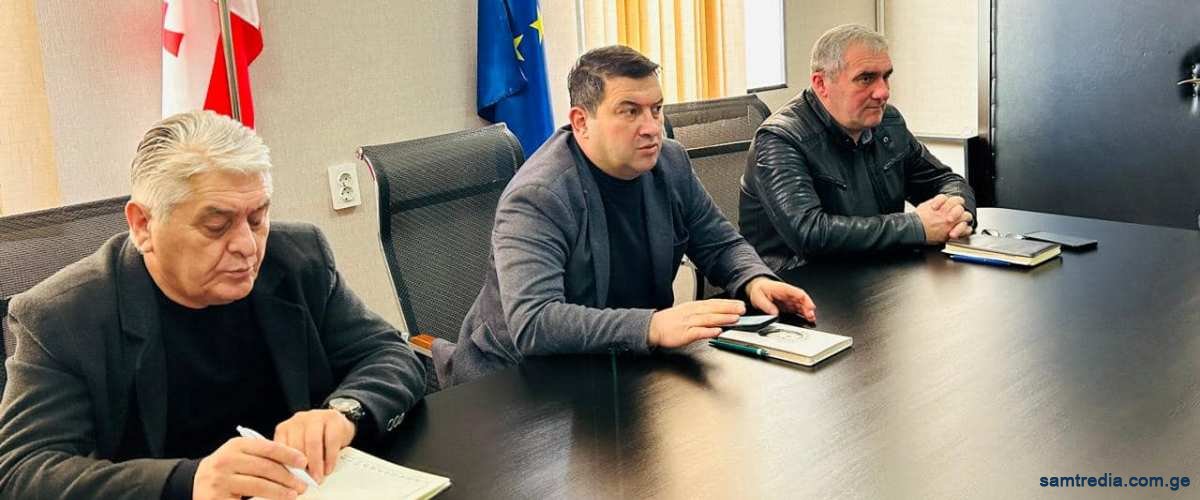 მორიგი სამუშაო შეხვედრa