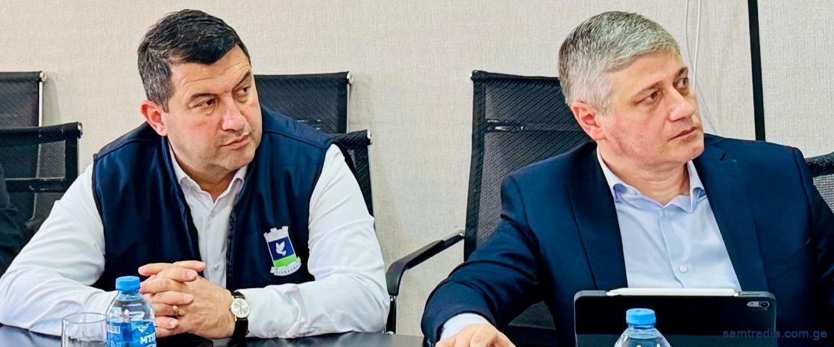 შუა დერეფნის ქალაქების განვითარების გაძლიერება დასავლეთ საქართველოში