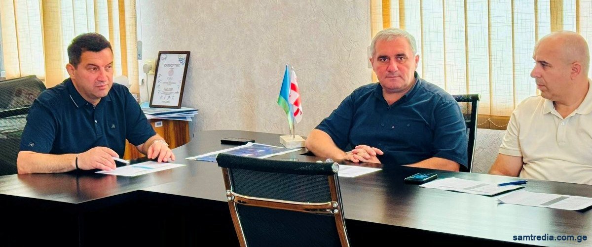 სამუშაო შეხვედრა მიმდინარე საკითხებზე